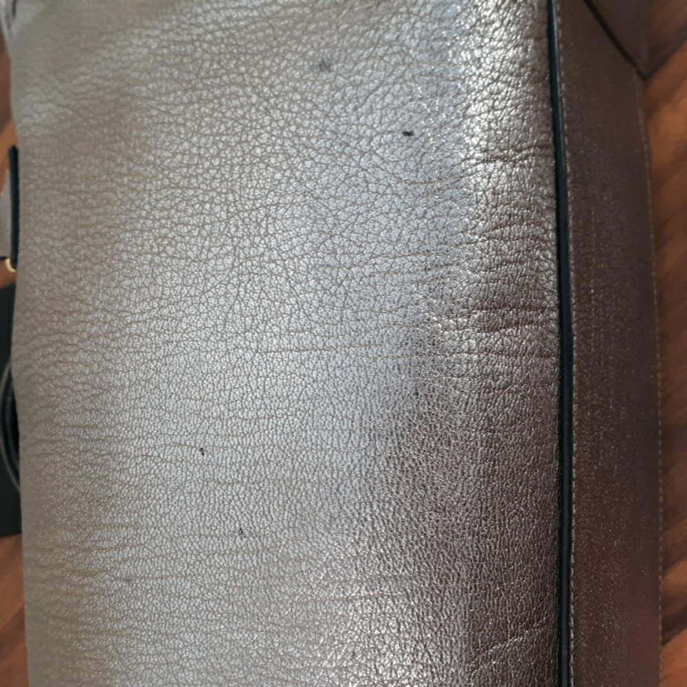 Loewe Amazona 35 Silver Handbag With Lock and Key - Picture 10 of 16